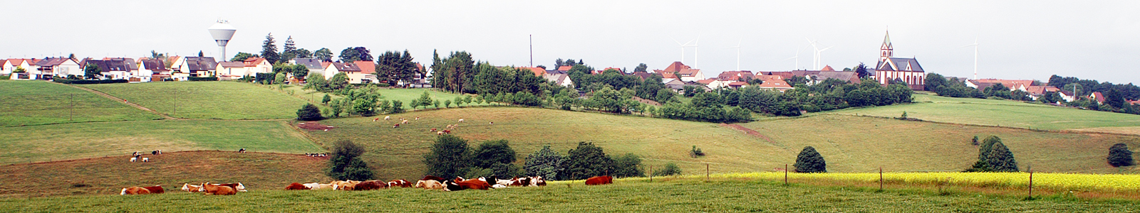 Kühe auf Weide im Hintergrund ein Dorf © Dienstleistungszentren Ländlicher Raum